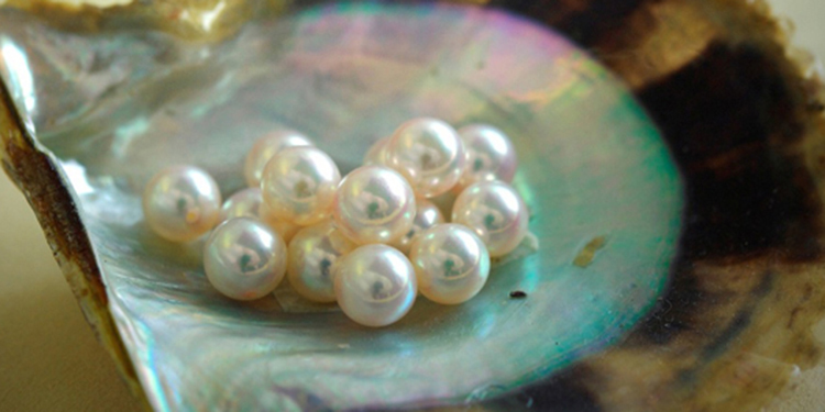how to buy best pearls