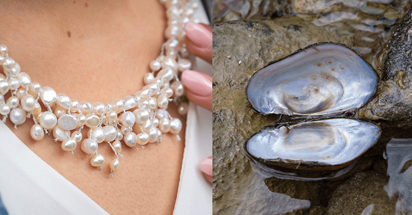 Unlocking the Mystique: A Comprehensive Guide to Pricing Pearls