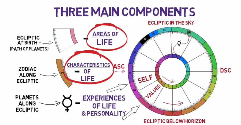 Have a birth chart analysis