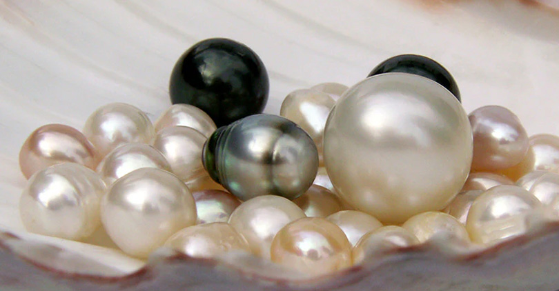 freshwater pearls vs saltwater pearls