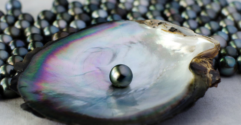 Most Expensive Are Black Pearls Valuable Natural Black Pearls