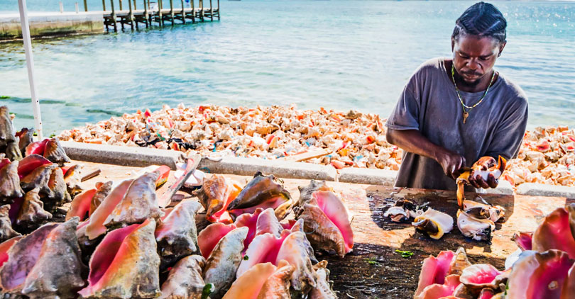 conch pearls