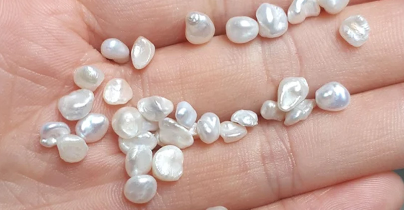 freshwater pearls