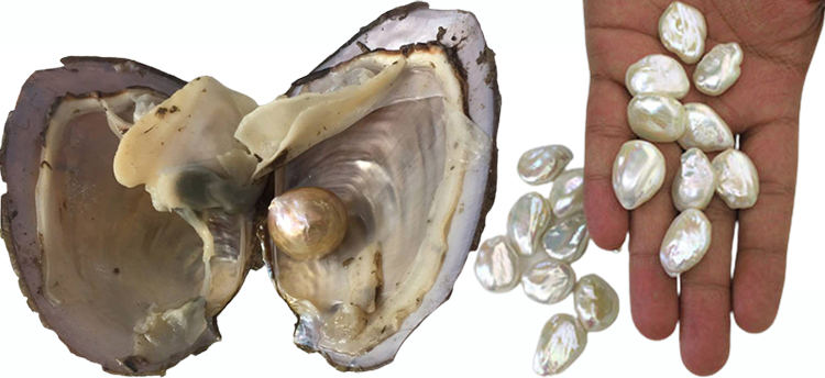 baroque pearls guide