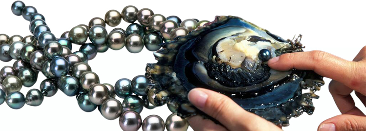 caring for tahitian pearls