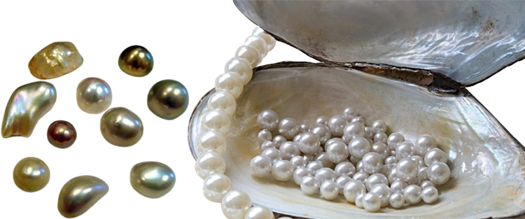 pearls