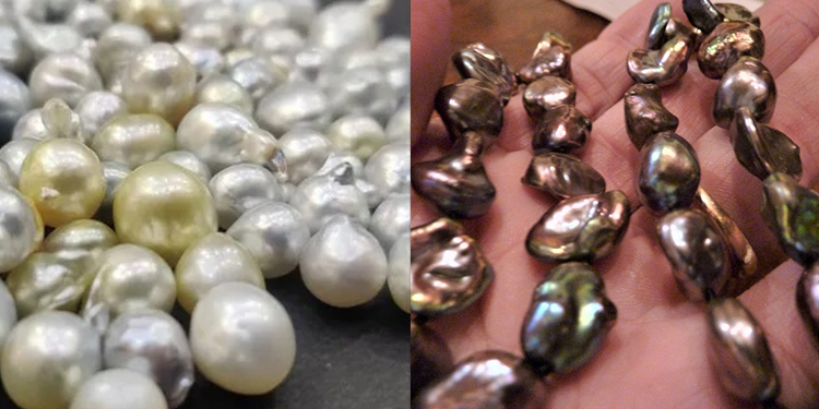 Saltwater and Freshwater Pearls