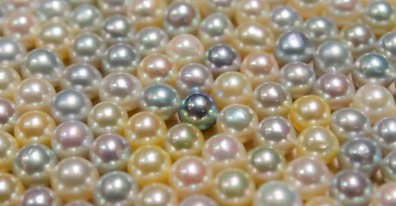 pearls price