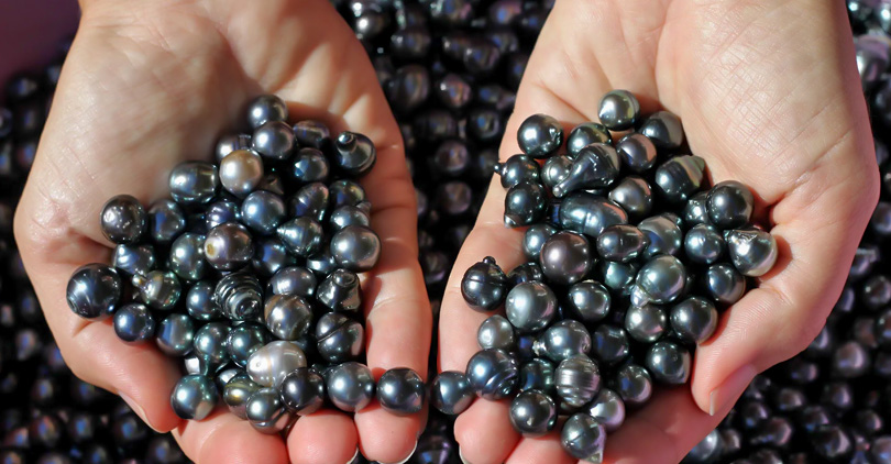 black pearls